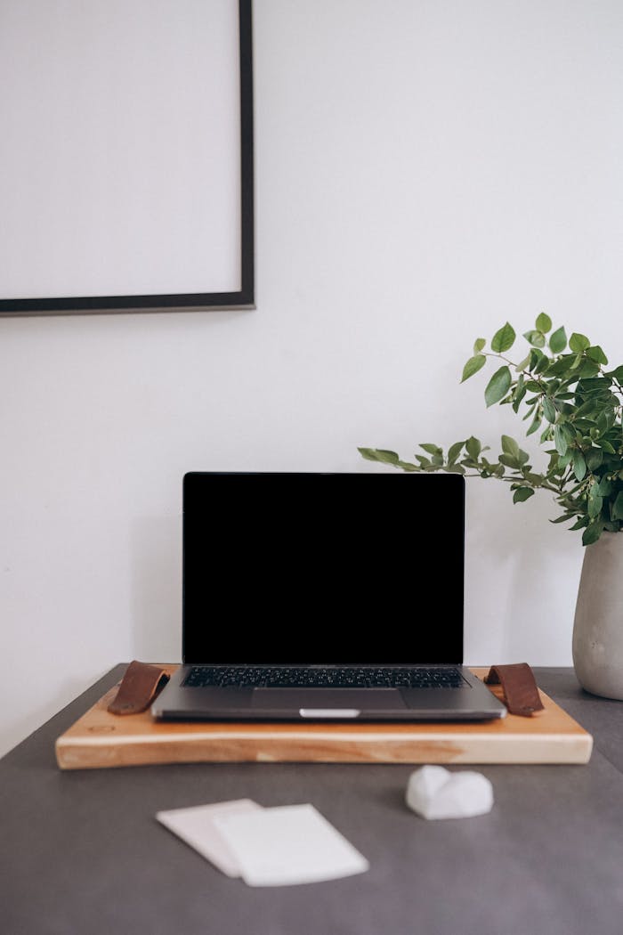 A sleek laptop on a desk with plants and modern decor in a minimalist home office setup.